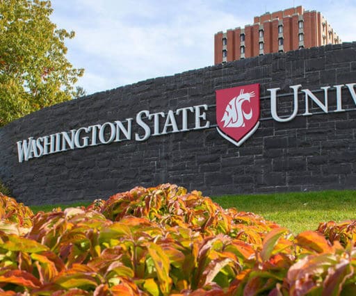 Washington State University Increases Performance, Storage Capacity and QoS With Microsoft and DataON