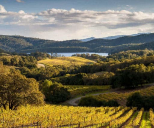 Wine Country City Entrusts Microsoft as IT Backbone
