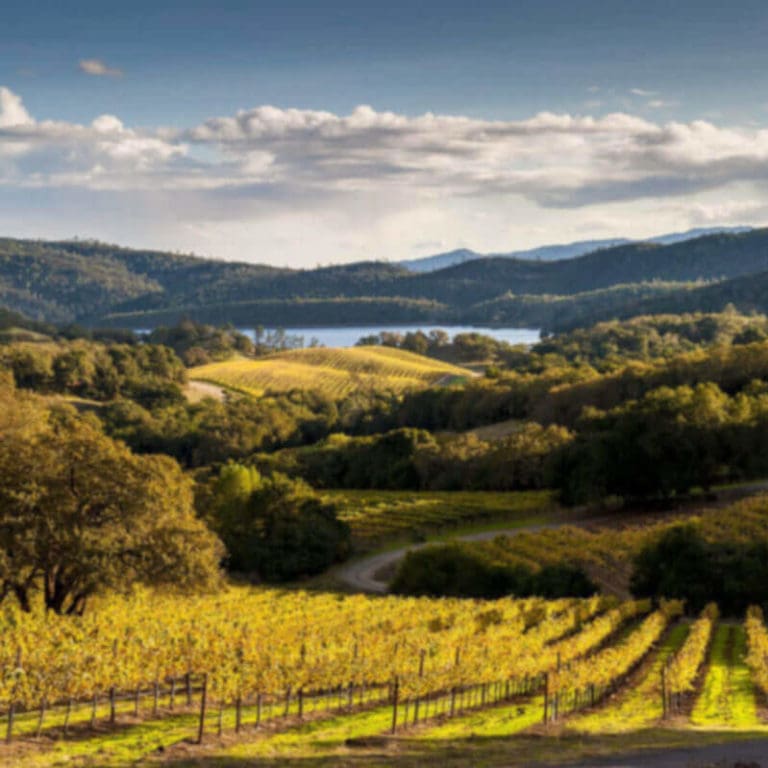 Wine Country City Entrusts Microsoft as IT Backbone